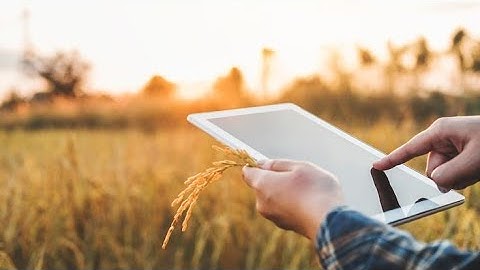 🌾𝗔𝗴𝗿𝗶𝗦𝘂𝗿𝗲 𝗔𝗜 𝟯.𝟬 – 🌱 𝗦𝗺𝗮𝗿𝘁 𝗙𝗮𝗿𝗺𝗶𝗻𝗴 𝗥𝗲𝘃𝗼𝗹𝘂𝘁𝗶𝗼𝗻 🤖 | 𝗔𝗜 + 𝗜𝗼𝗧 + 𝗕𝗹𝗼𝗰𝗸𝗰𝗵𝗮𝗶𝗻 𝗣𝗿𝗼𝗷𝗲𝗰𝘁 🚀