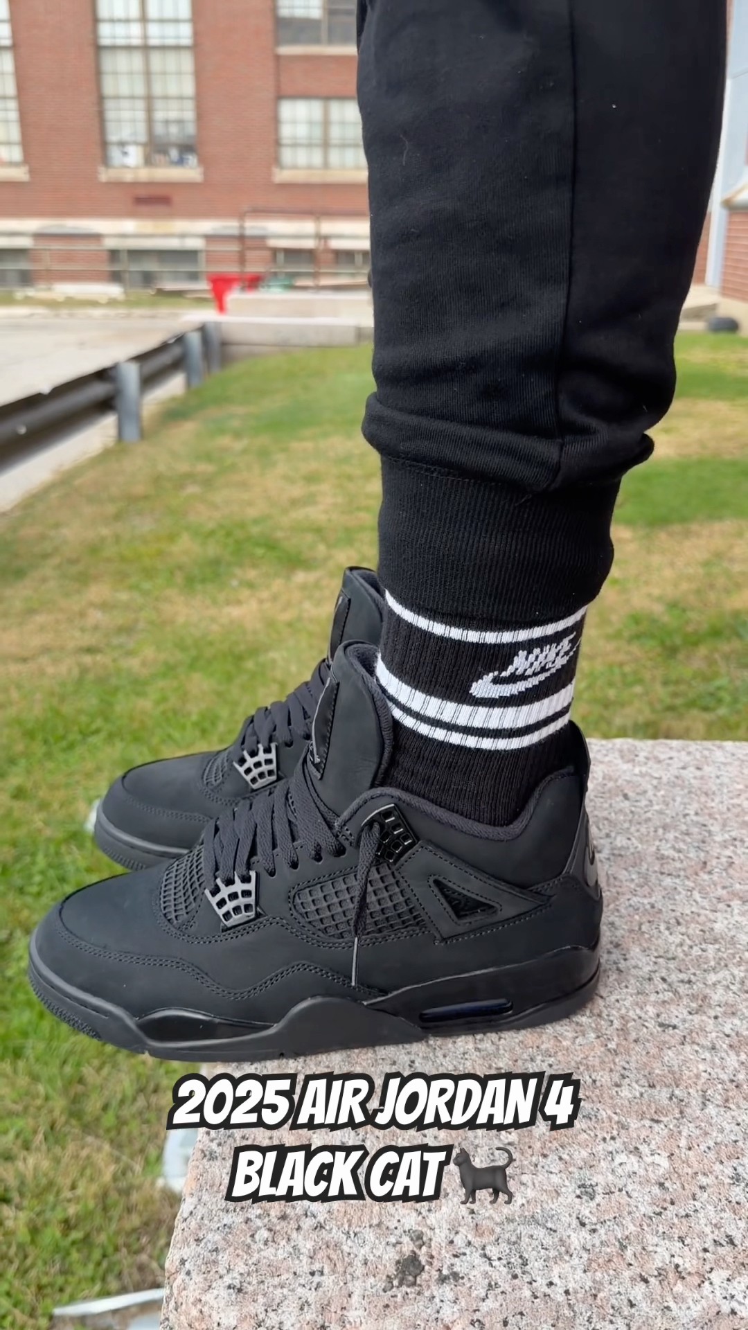 jordan 4 black cat with shorts