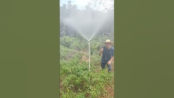 Vòi tưới phun sương bán kính lớn tưới cây