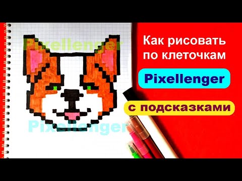 Как рисовать по клеточкам Собачку Корги Простые рисунки How to Draw Dog Corgi Pixel Art