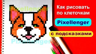 Как рисовать по клеточкам Собачку Корги Простые рисунки How to Draw Dog Corgi Pixel Art