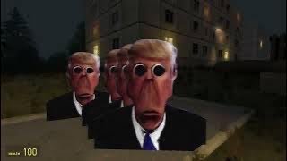 DONALD TRUMP IS AFTER US