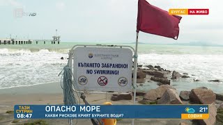 видео:  картинка: