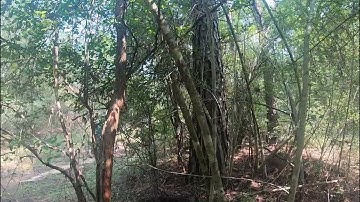 Capture the Flag Game 1 Part 1 2