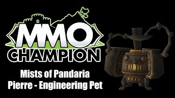 Pierre - Engineering Pet