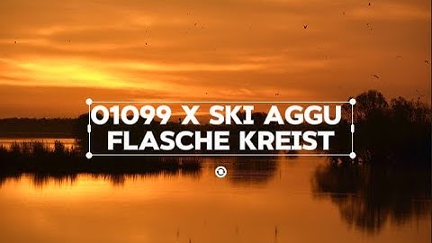 01099 x Ski Aggu - Flasche kreist Lyrics