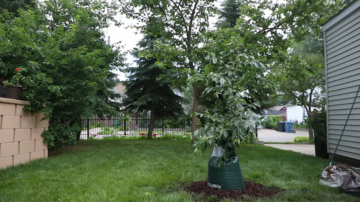 Invasive Species - Homeowner Best Management Practices