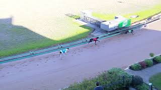 MEP WED 22 MAY 19 R10