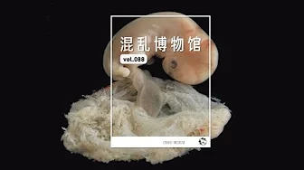 肚臍通到哪裏 |What’s behind your belly button？| ChaosMuseum