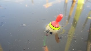 Fly Fishing - Episode 9 - Carp Fly Fishing (잉어 플라이낚시)