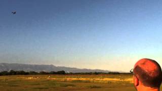 Extra 300 maiden flight