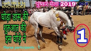 Horse Dance competition, घोड़ा नृत्य प्रतियोगिता, उम्मीदवार नंबर - 1, Pushkar Fair 2019