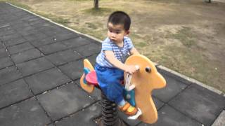 1Y7M 寶騎馬 1