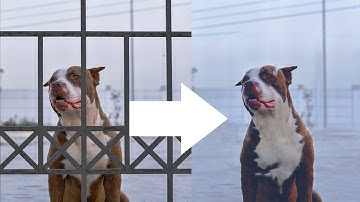 Fence Remove with 2 Simple Steps in Photoshop | Photoshop Tutorial | Mohit Pal