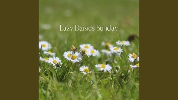 Thrilling Ambience for Curled Up Hounds