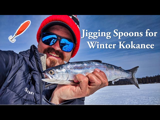 Jigging Spoons for Winter Kokanee 