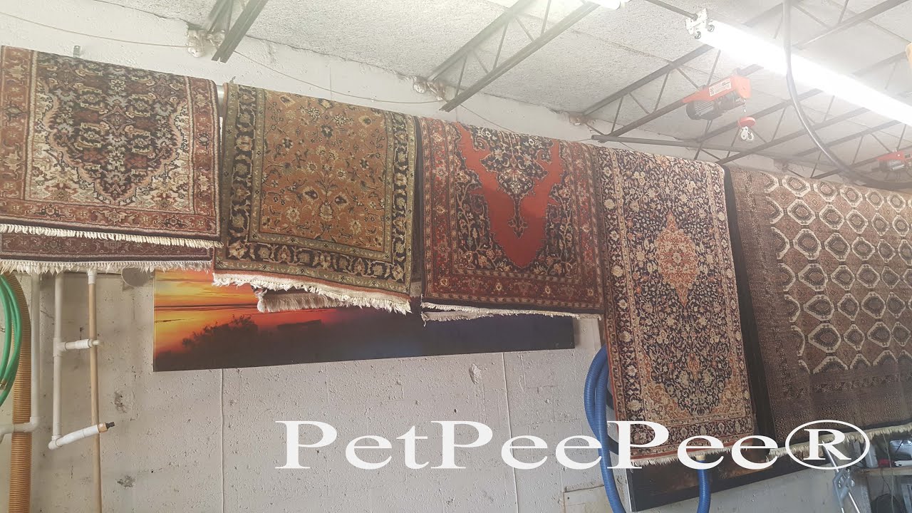 A Day in The PetPeePee Warehouse Oriental rug cleaning