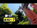집게차 시험보나? 왜 여기다 나둔거야?
