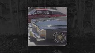 ADAM THE SHINOBI - SOUTH COAST