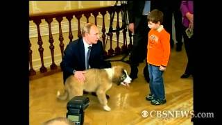 Russian Prime Minister's Puppy