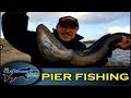 Pier fishing tips (Part 2) - How to catch Conger Eels from a pier - Totally Awesome Fishing Show