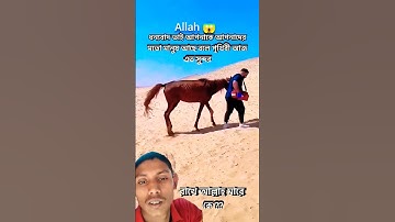 #islamicstatus #mizanur_rahman_azhari #trending #عبدالرحمن_مسعد_تلاوة_جديدة #عبدالرحمن_مسعد #duetk🥲🥲