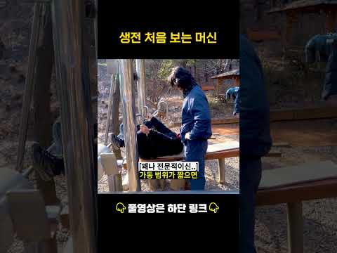 어딘가 이상하지만 효과는 있어 보이는 머신 #운동 #shorts #산스장