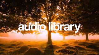 Ambient, Meditative, Nature No Copyright Music | Good NIT by Dizanour