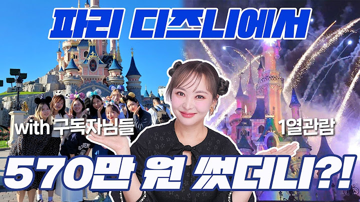 VIP 투어 값만 1000만원이 넘어??! 🤑🤑 파리디즈니VIP 구독자님들과 함께 다녀왔습니다!!