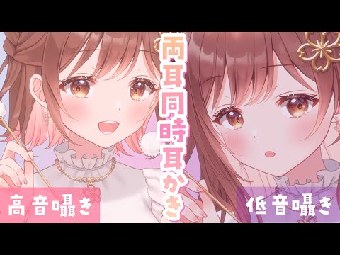 【ASMR/両耳同時】💜低め❤高め？どっちの囁き耳かきが好き？[Simultaneous ear cleaning from both ears.]