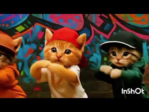 القطط اللي كسرت الترند مش بريح ولا بهمد كابونجا حمو بيكا شاكوش الليثي