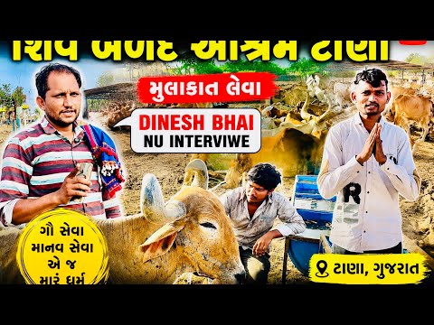 😱 શિવ બળદ આશ્રમ ટાણા ની અંદરની હકીકત | Dinesh Bhai Exclusive Interview | Dipu Vlogger Life