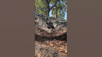 Axial SCX24 Comp Buggy steep uphill climb #axial #injora #rc #crawler #rockcrawler #scx24