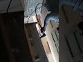 Lloyd Split AC Service