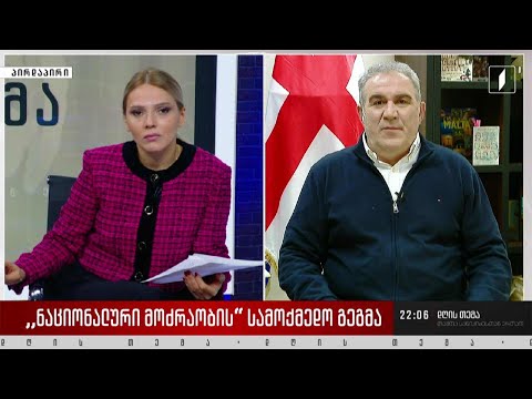 სააკაშვილის ჯანმრთელობის მდგომარეობა და ნაციონალური მოძრაობის სამოქმედო გეგმა - ნუგზარ წიკლაური