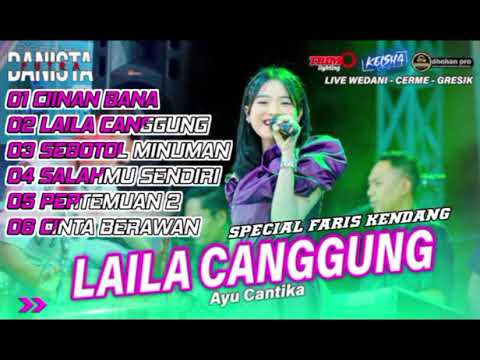 OM PUTRA DANISTA SPECIAL FARIS KENDANG Live Wedani Cerme Gresik 2024