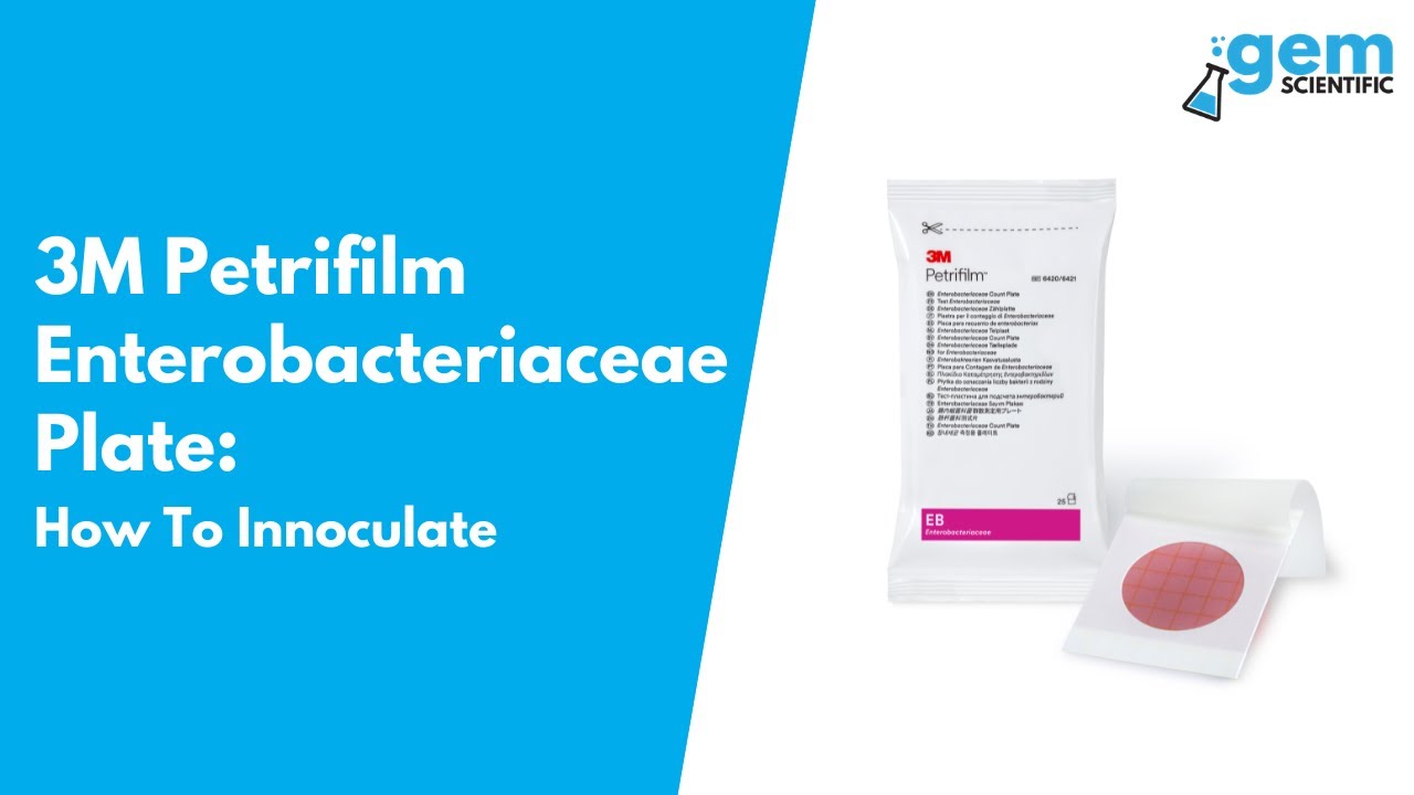 How To Innoculate A 3M Petrifilm Enterobacteriaceae Plate Gem