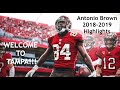 Antonio Brown || Welcome to TAMPA! || 2018-2019 Highlight Mix