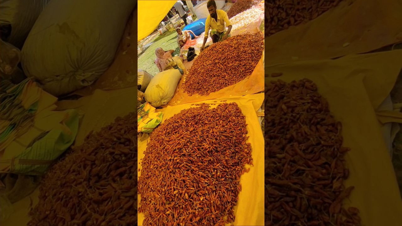 INDIA'S BIGGEST DRY CHILLI SHOP 