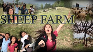 Let’s Visit the only Sheep Farm in Nagaland #poilwa|Lito N yepthomi