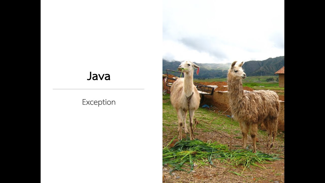 [Java Exception] 5. ประกาศหลาย ๆ Exception ที่ method signature