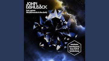 Life (Diamonds In The Dark) (feat. Agnes) (Feenixpawl Remix)
