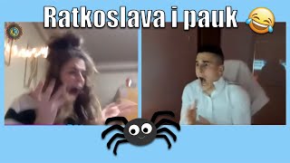 Ratkoslava I Pauk Simi U Šoku