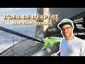 Lil de lexpert  la newyork  vende  les sablesdolonne