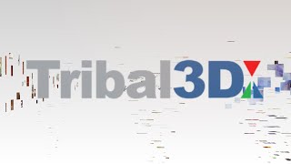 Lenticular Printing & Holographic Printing - Tribal 3D 2020