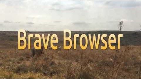 How to install the Brave Browser on Linux Mint 19.3