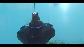 DELTA 200 Rechargeable Robotic Pool 