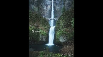 الآية: ﴿ لَقَدْ جَاءَكُمْ رَسُولٌ مِنْ أَنْفُسِكُمْ عَزِيزٌ ♦ السورة ورقم الآية: التوبة (128)