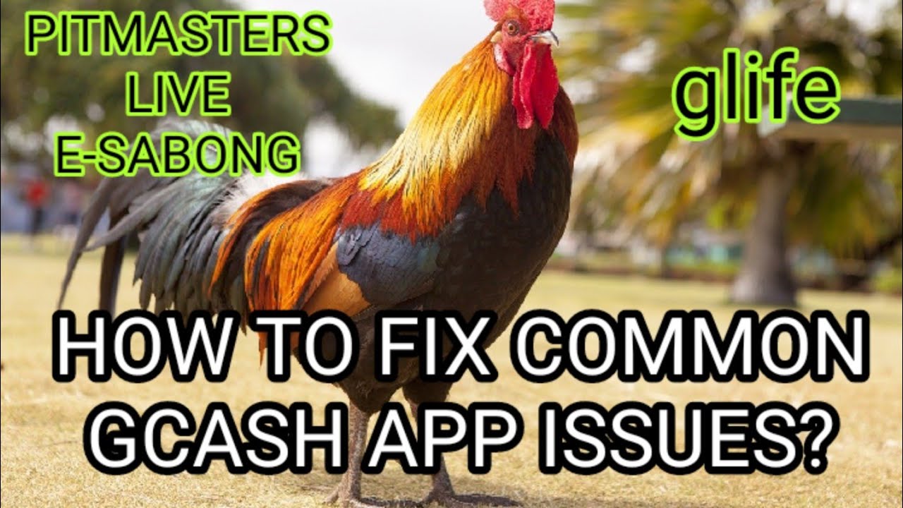 PITMASTERS NOT WORKING SOLVED: HOW TO FIX COMMON GCASH APP ISSUES ? / E-Sabong / Glife