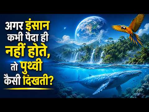 What If Humans Never Existed? | The Earth Without Humans | 4K Documentary